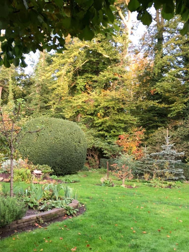 Am Berg Lengerich